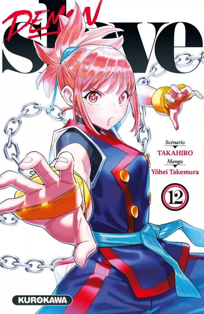 Demon Slave - Tome 12 - Natsume Corp