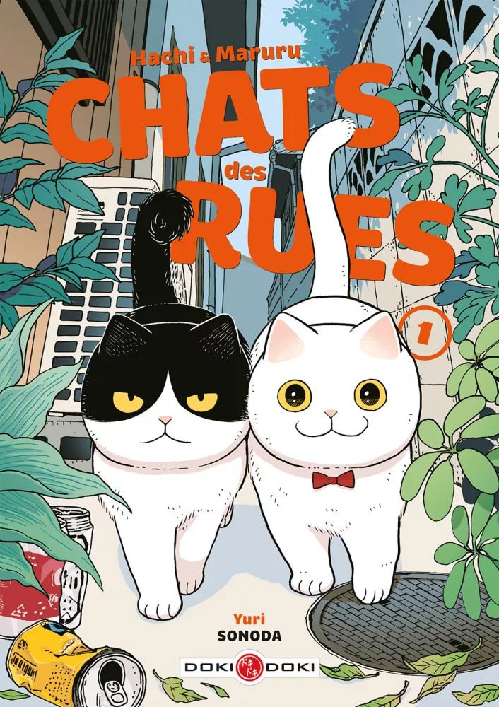 Hachi & Maruru - Chats des rues - Tome 1 - Natsume Corp