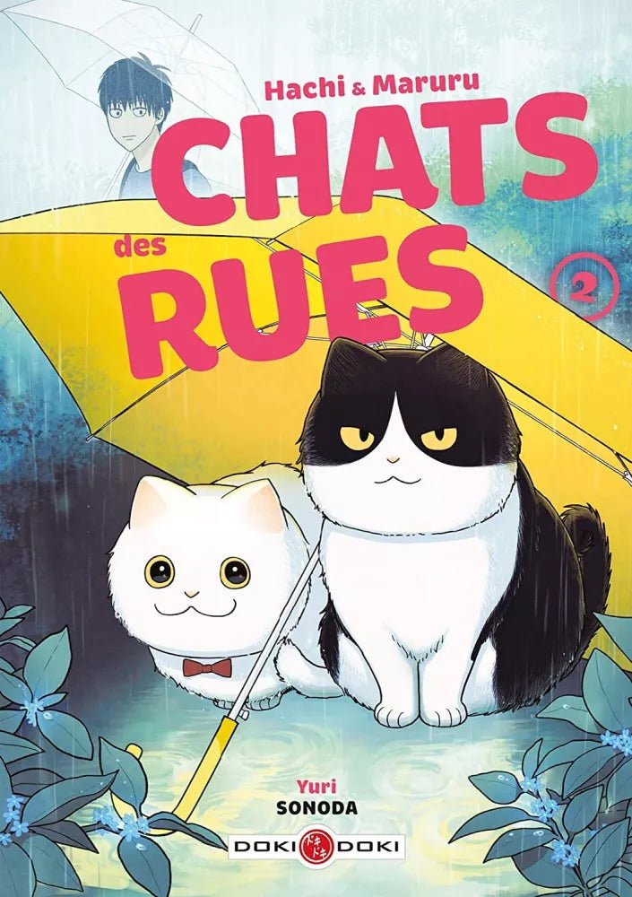 Hachi & Maruru - Chats des rues - Tome 2 - Natsume Corp