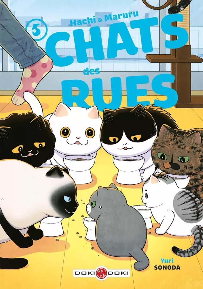 Hachi & Maruru - Chats des rues - Tome 5 - Natsume Corp