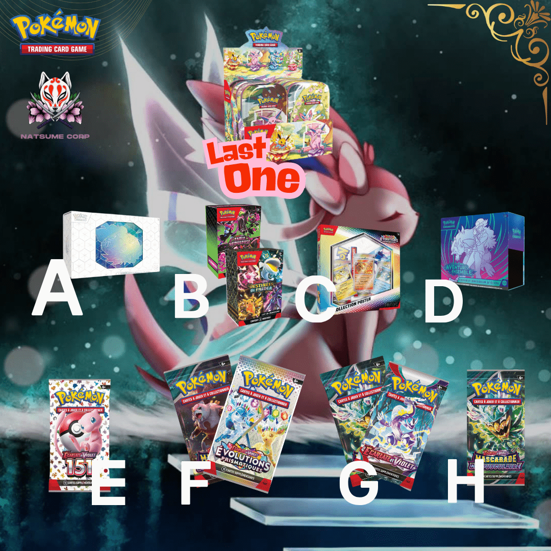 Loterie Pokémon Kuji - 2 - Natsume Corp