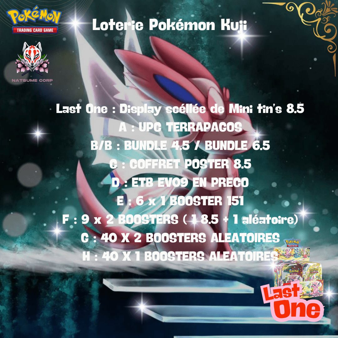 Loterie Pokémon Kuji - 2 - Natsume Corp