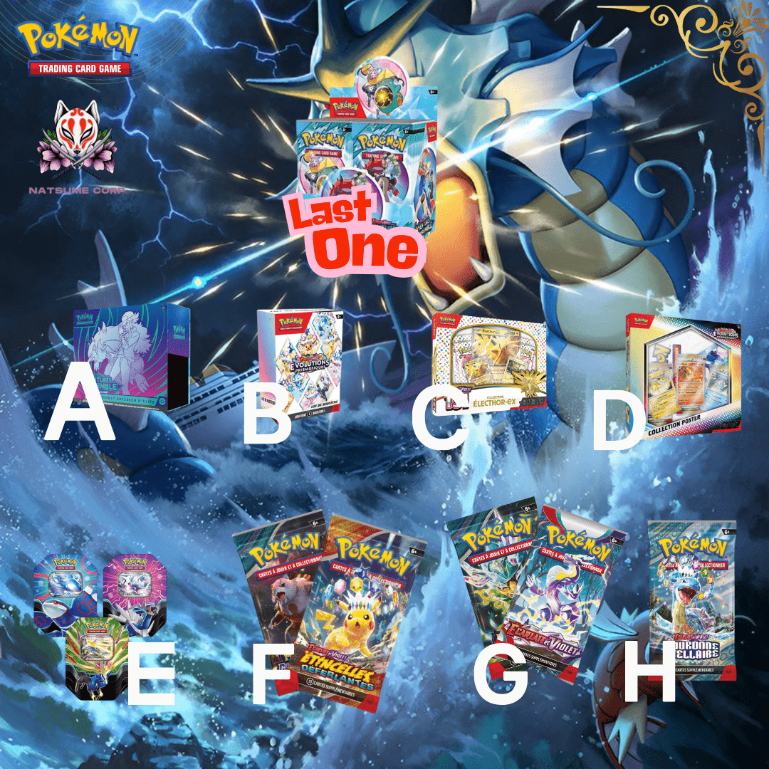 Loterie Pokémon Kuji - 3 - Natsume Corp