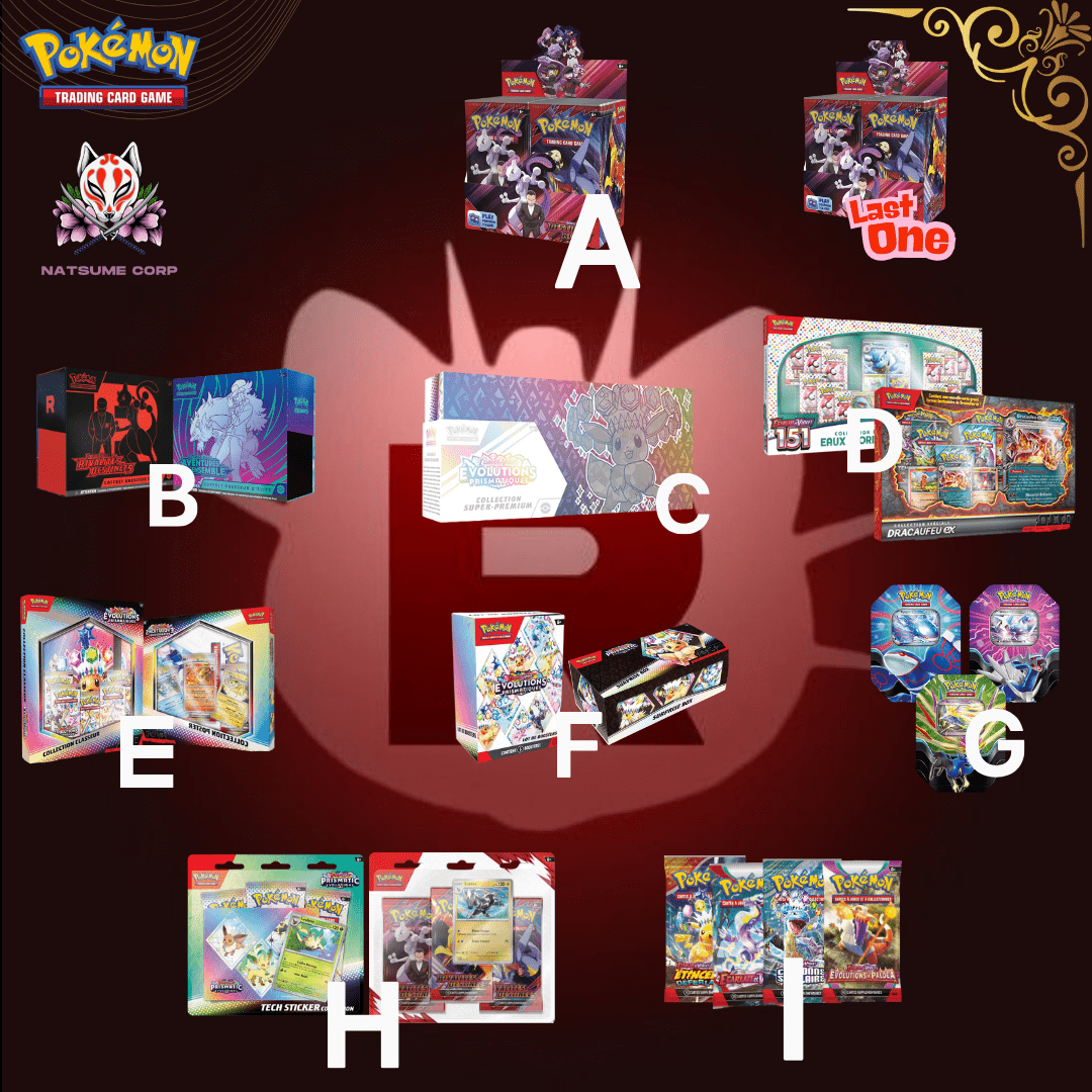 Loterie Pokémon Kuji Deluxe - Natsume Corp