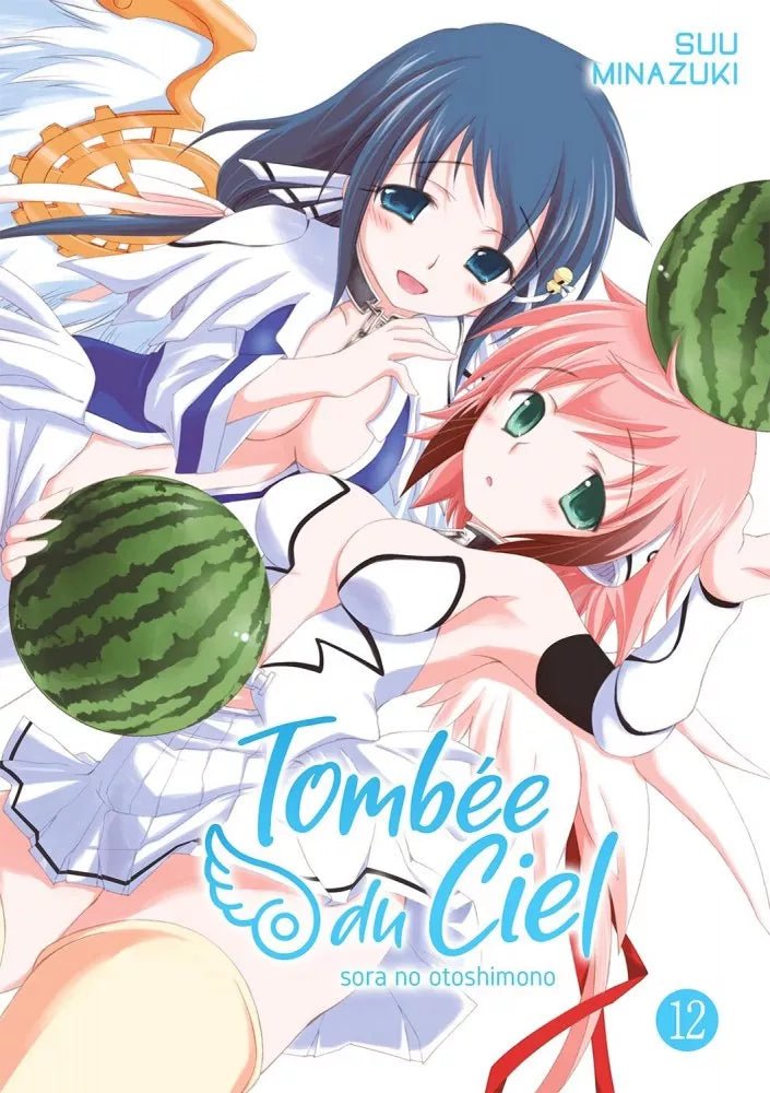 Tombée du Ciel - Tome 12 - Natsume Corp