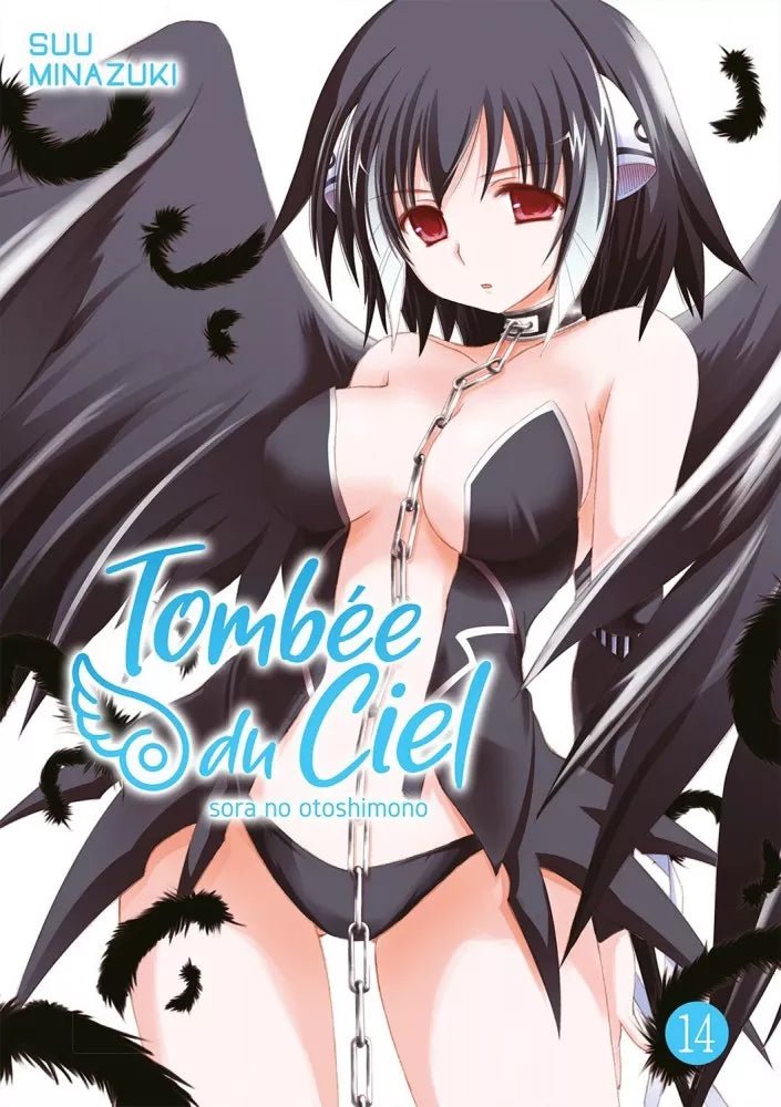 Tombée du Ciel - Tome 14 - Natsume Corp