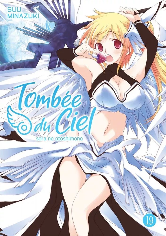 Tombée du Ciel - Tome 19 - Natsume Corp