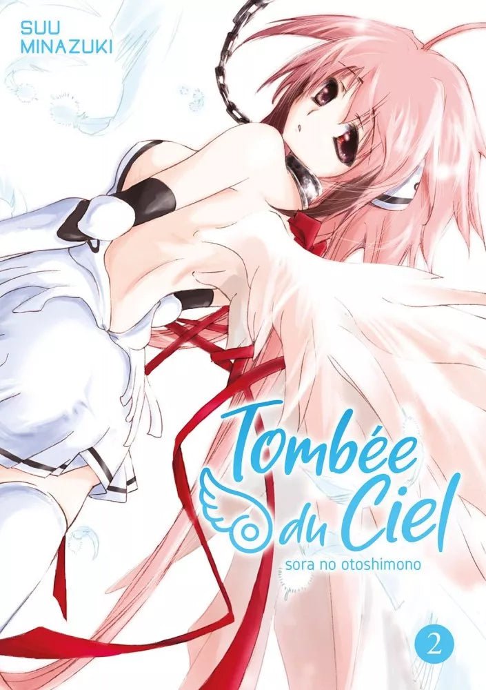 Tombée du Ciel - Tome 2 - Natsume Corp