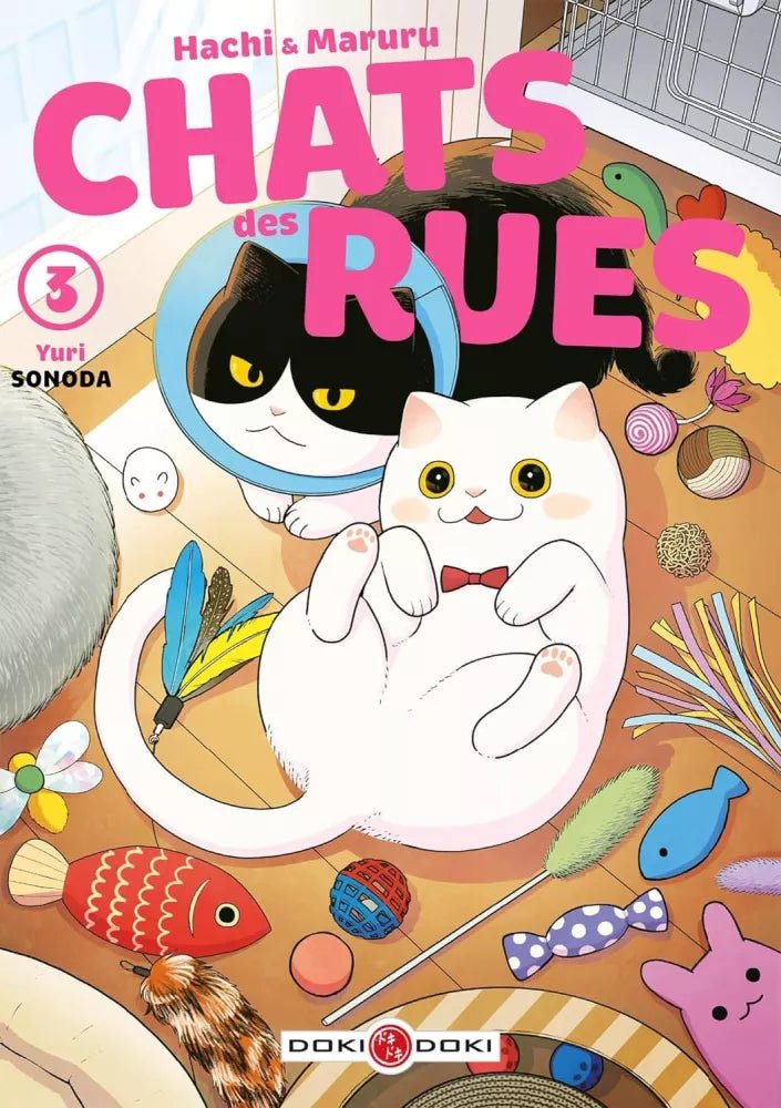 Hachi & Maruru - Chats des rues - Tome 3 - Natsume Corp