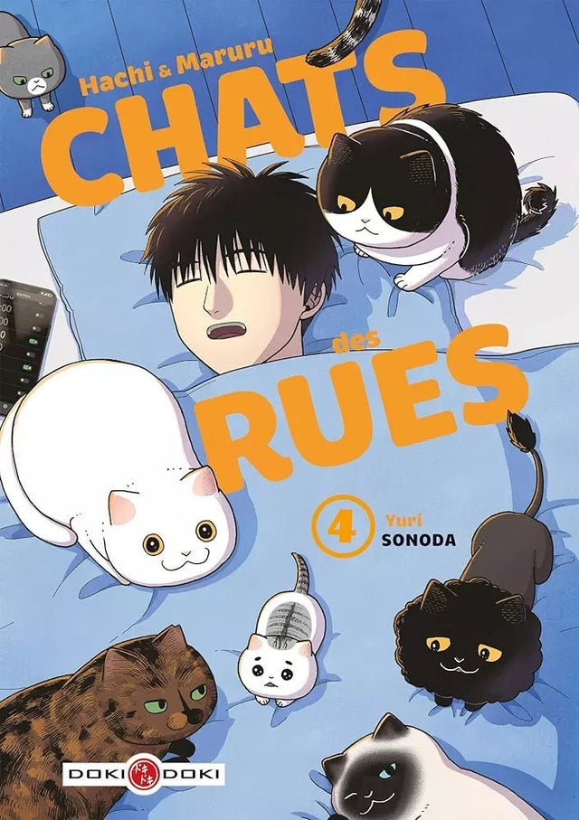 Hachi & Maruru - Chats des rues - Tome 4 - Natsume Corp