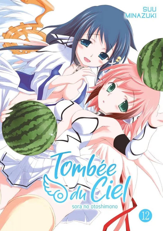 Tombée du Ciel - Tome 12 - Natsume Corp