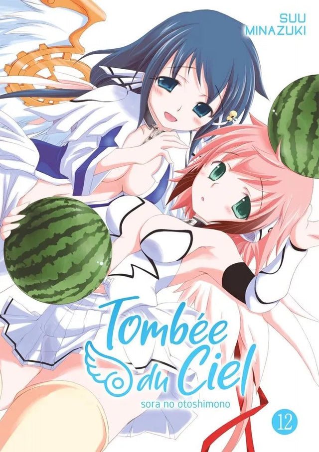 Tombée du Ciel - Tome 12 - Natsume Corp